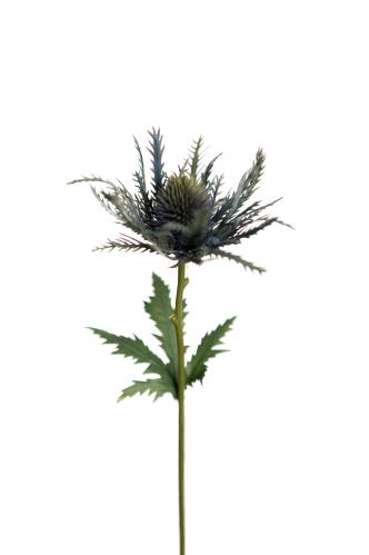 Tistel - Blå - 25 cm - www.frokenfraken.se