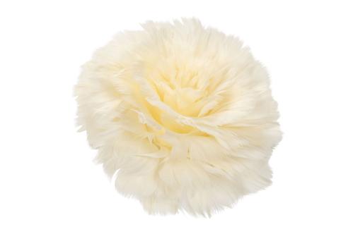 Fjäder - Fjäderblomma på clip - Cream - 1st - Ø11 cm - www.frokenfraken.se