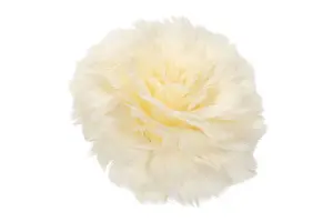 Fjäder - Fjäderblomma på clip - Cream - 1st - Ø11 cm - www.frokenfraken.se