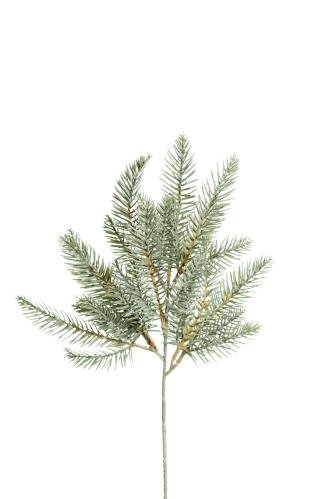 Gran - Grön - 45 cm - www.frokenfraken.se