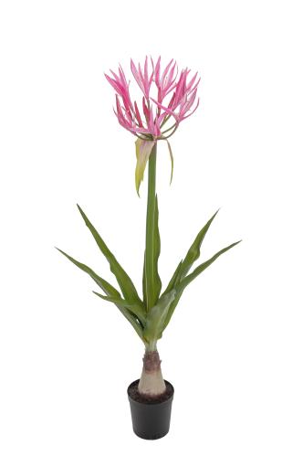 Nerine - Rosa - 125 cm - www.frokenfraken.se