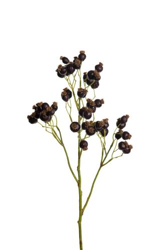 Bärkvist - Svart - 60 cm - www.frokenfraken.se