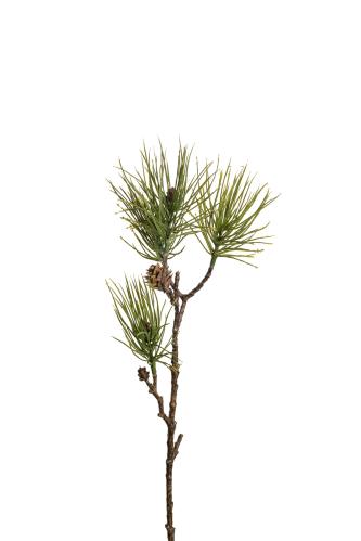 Tall - Grön - 50 cm - www.frokenfraken.se