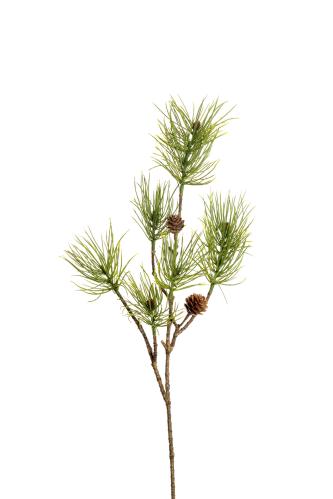 Tall - Grön - 70 cm - 12 st - www.frokenfraken.se