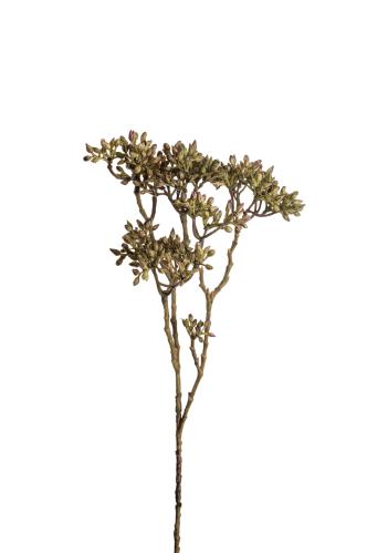 Bärkvist - Grön - 45 cm - www.frokenfraken.se