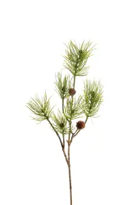 Tall - Grön - 70 cm - 12 st - www.frokenfraken.se