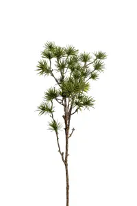 Lärk - Grön - 60 cm - www.frokenfraken.se