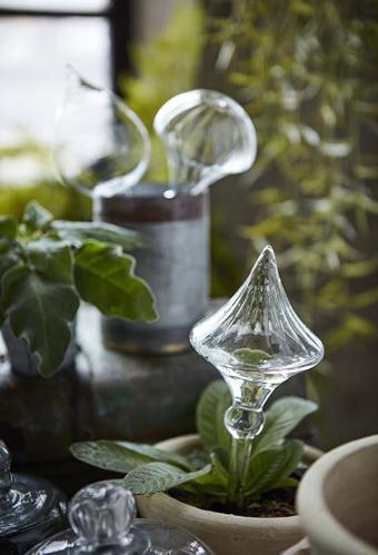 Bevattningsglas - Diamant - 29 x Ø10 cm - www.frokenfraken.se
