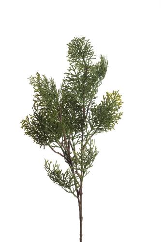 Cypress - - 85 cm - www.frokenfraken.se