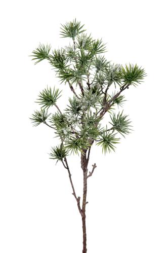 Lärk med snö - Grön - 60 cm - www.frokenfraken.se