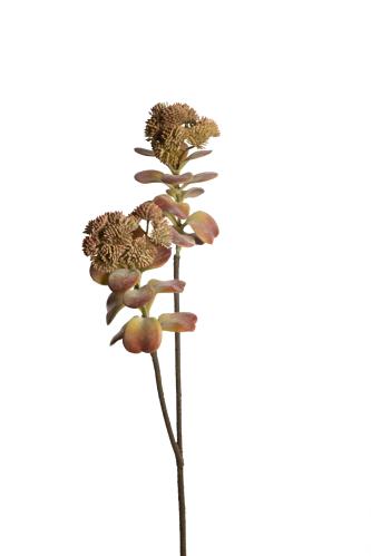 Succulent - Lila - 55 cm - www.frokenfraken.se