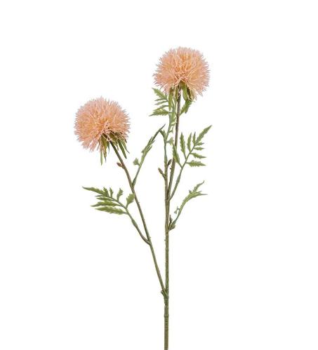 Allium - Rosa - 60 cm - www.frokenfraken.se