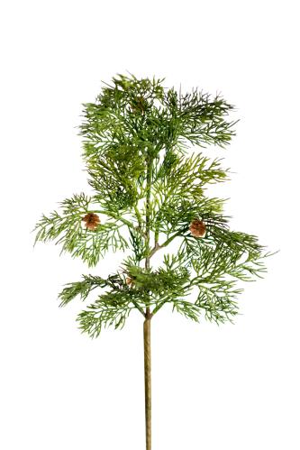Cypress - Grön - 55 cm - www.frokenfraken.se