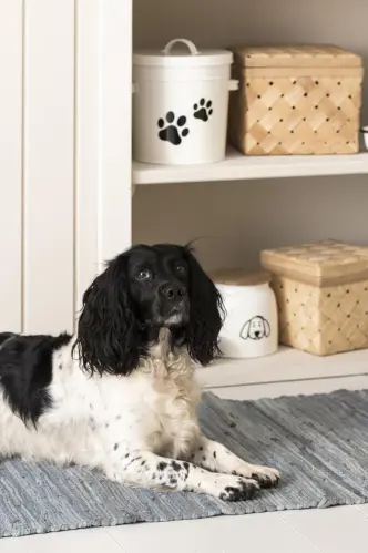 Burk - Hink för hund eller kattmat - 5 ltr - www.frokenfraken.se