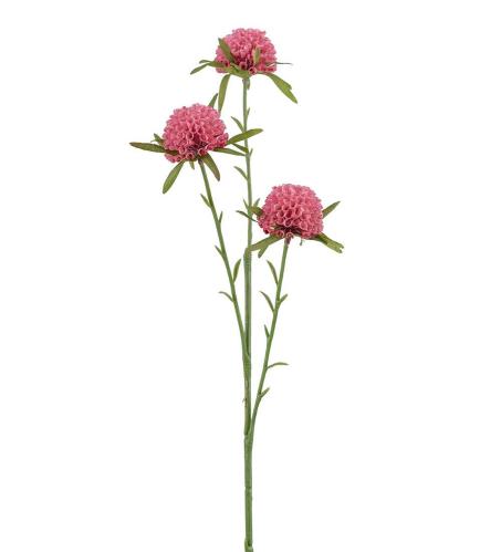 Amaranth - Rosa - 60 cm - www.frokenfraken.se