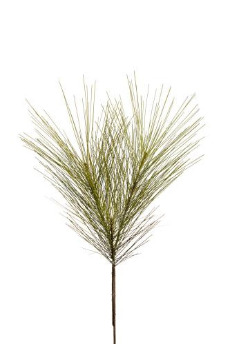 Tall - Grön - 55 cm - www.frokenfraken.se