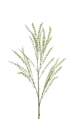 Eucalyptus - Grön - 100 cm - www.frokenfraken.se