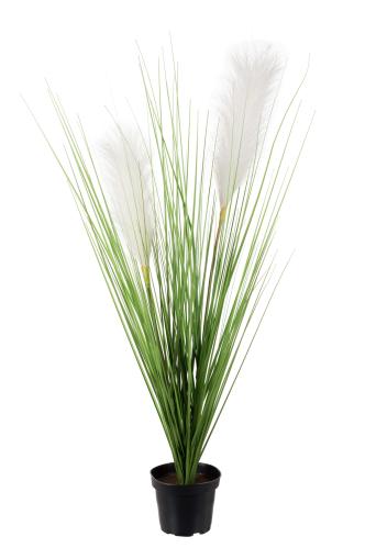 Gräs - Grön - 65 cm - www.frokenfraken.se
