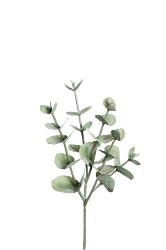 Eucalyptus - Grön - 24 cm - www.frokenfraken.se