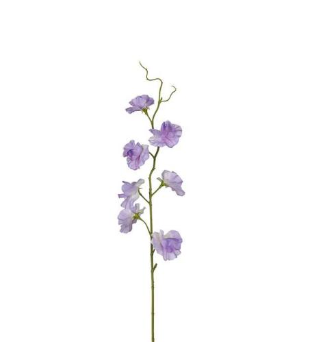 Luktärt - Lila - 55 cm - www.frokenfraken.se