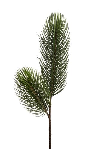 Tall - Grön - 115 cm - www.frokenfraken.se