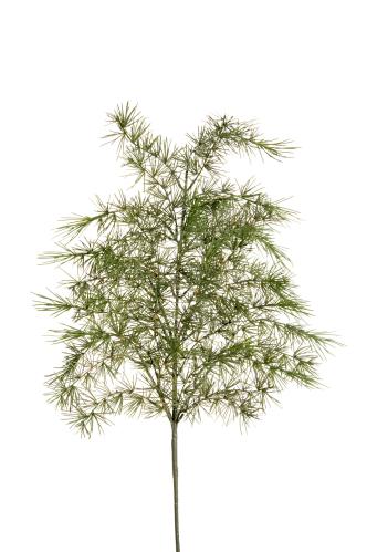 Barrkvist - Grön - 75 cm - www.frokenfraken.se