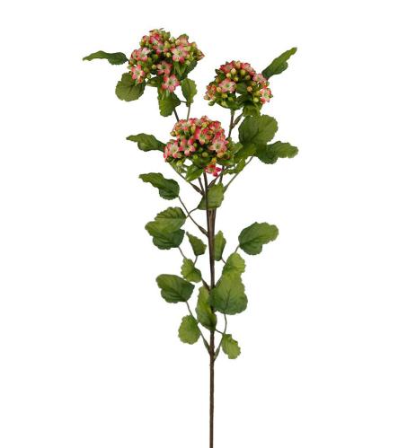 Calandiva - Röd - 65 cm - www.frokenfraken.se