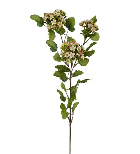 Calandiva - Rosa - 65 cm - www.frokenfraken.se