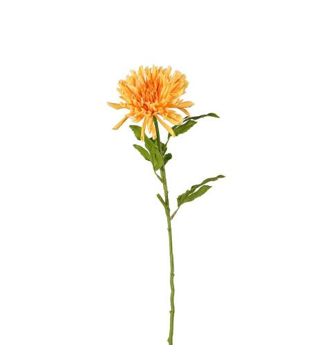 Chrysanthemum - Orange - 60 cm - www.frokenfraken.se