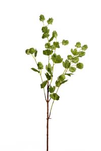 Humle - Grön - 90 cm - www.frokenfraken.se