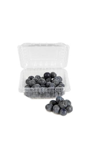 Blåbär - Storlek som amerikanska blåbär - www.frokenfraken.se