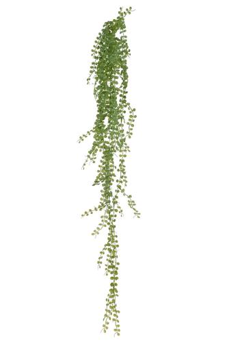 Succulent - Grön - 90 cm - www.frokenfraken.se