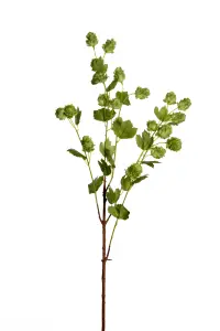 Humle - Grön - 90 cm - www.frokenfraken.se