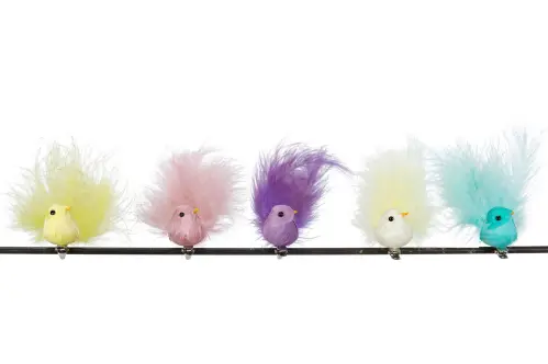 Fågel med clips - 5-pack - Vår - www.frokenfraken.se