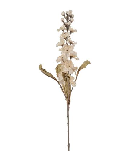 Delphinium - Vit - 50 cm - www.frokenfraken.se