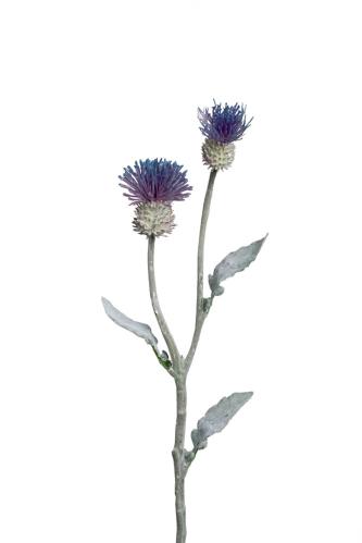 Tistel - Blå - 54 cm - www.frokenfraken.se