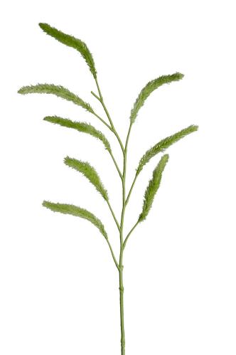 Gräs - Grön - 110 cm - www.frokenfraken.se