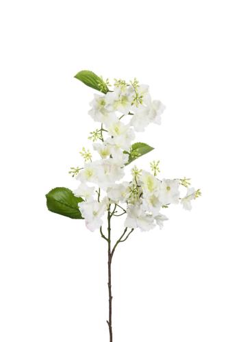 Hortensia - Vit - 90 cm - www.frokenfraken.se