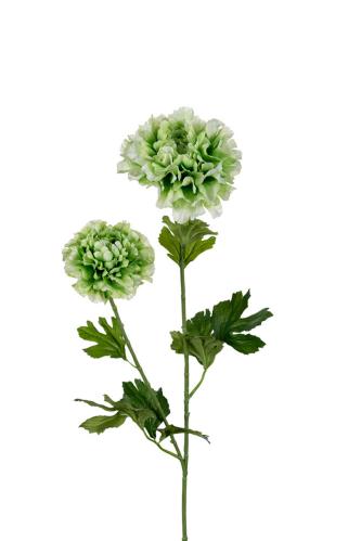 Ranuncel - Grön - 80 cm - www.frokenfraken.se