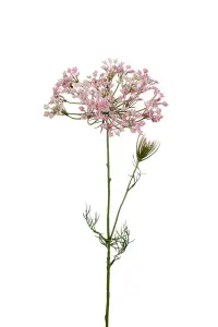 Allium - Rosa - 70 cm - www.frokenfraken.se