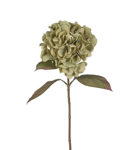 Hortensia - Grön - 65 cm - www.frokenfraken.se