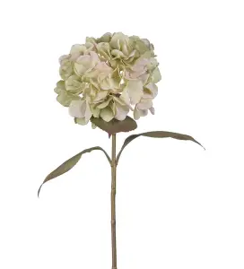 Hortensia - Rosa - 65 cm - www.frokenfraken.se
