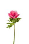Anemon - Rosa - 43 cm - www.frokenfraken.se