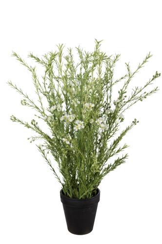 Vaxblomma - Vit - 55 cm - www.frokenfraken.se