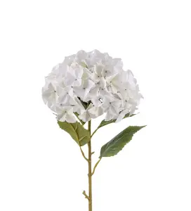 Hortensia - Vit - 110 cm - www.frokenfraken.se