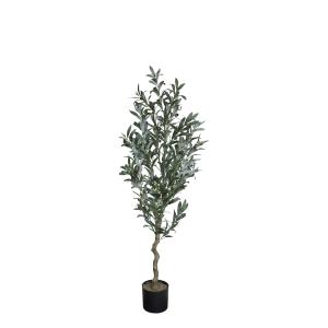 Olivträd - 132 cm - www.frokenfraken.se