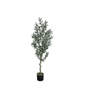 Olivträd - 132 cm - www.frokenfraken.se