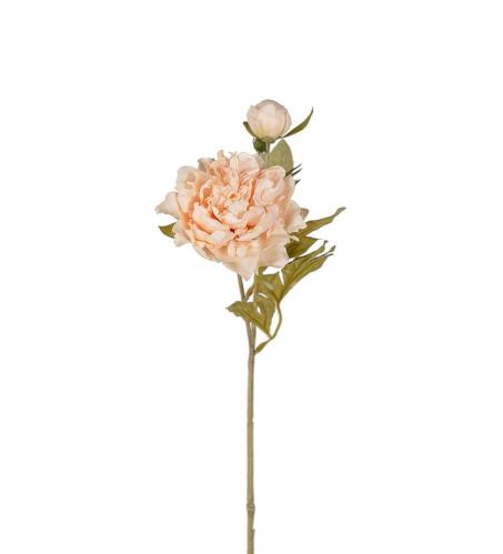 Pion - Champagne - 45 cm - www.frokenfraken.se
