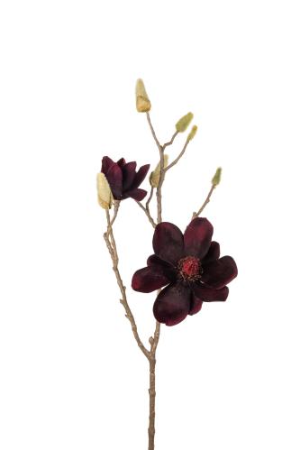 Magnolia - Röd - 70 cm - www.frokenfraken.se