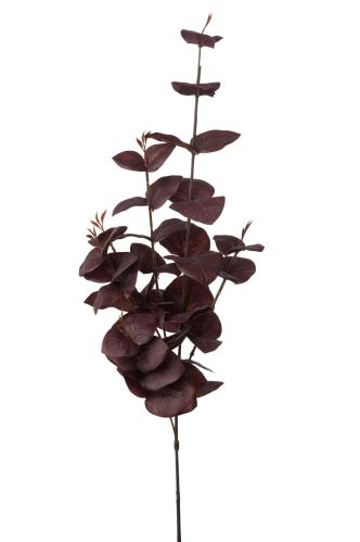 Eucalyptus - Röd - 75 cm - www.frokenfraken.se